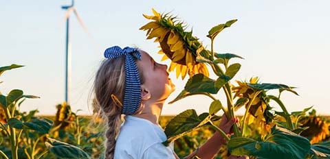 Little girl on sunflower field